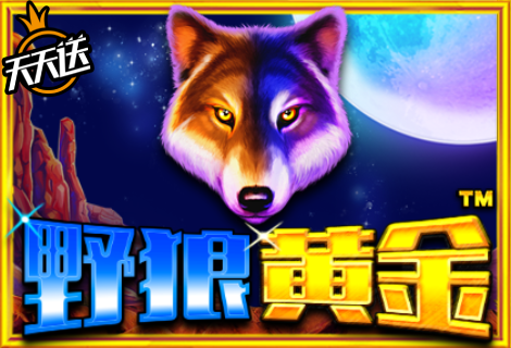 野狼黄金